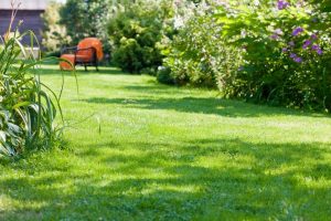 travaux jardin et paysage Montaud